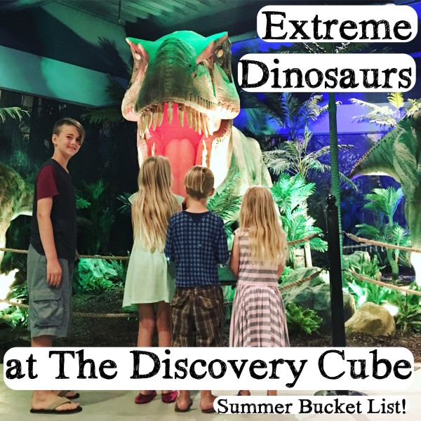 discovery cube dinosaur