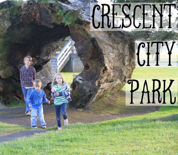 Crescent City Park –Rest Stop Adventures